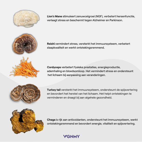 Kokoro Mushroom Gummies - 60 stuks