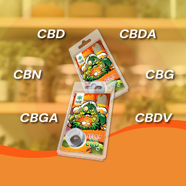 Plant of Life | CBD Jelly Hash 22% Amnesia