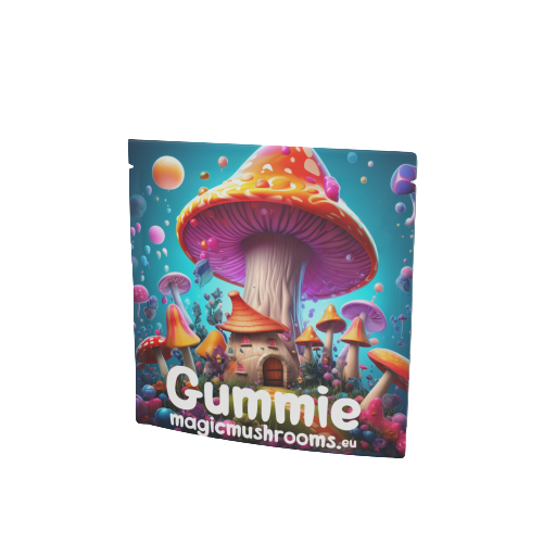 Gummies Mushroom Extract 2 stuks