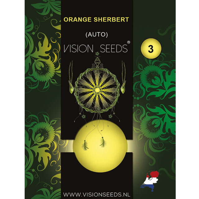 Orange Sherbert AutoFem - Vision Seeds
