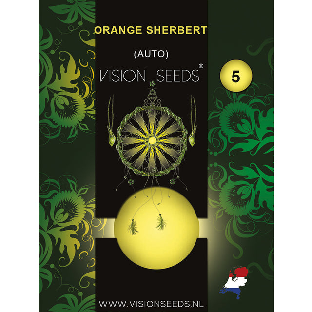 Orange Sherbert AutoFem - Vision Seeds