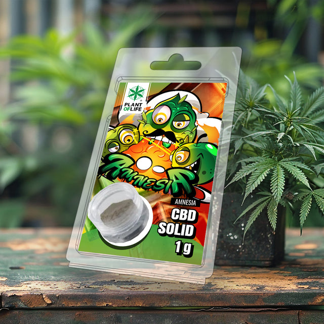 Plant of Life | CBD SOLID 10% Amnesia 1g