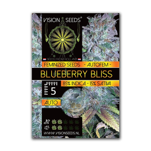 Blueberry Bliss AutoFem - 3+1 | 5+2 ACTIE