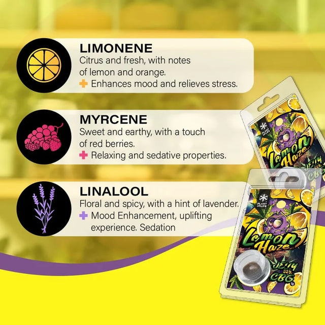 Plant of Life | Jelly 33% CBG Lemon Haze 1g