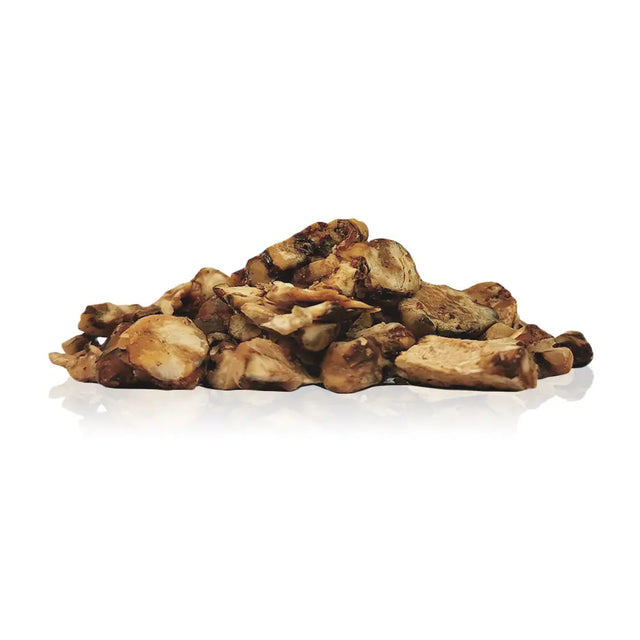 Divine Senses Truffels (Psilocybe Mazatapec) - 15 gram