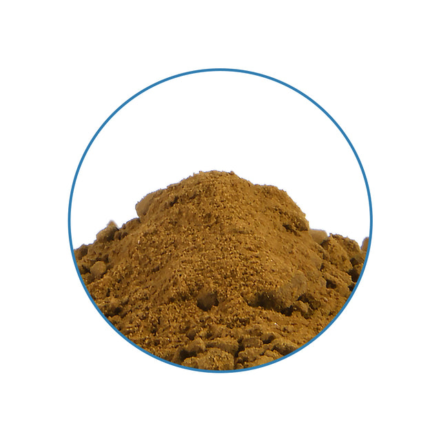 Wild Lettuce 50x Extract - 2,5 gram