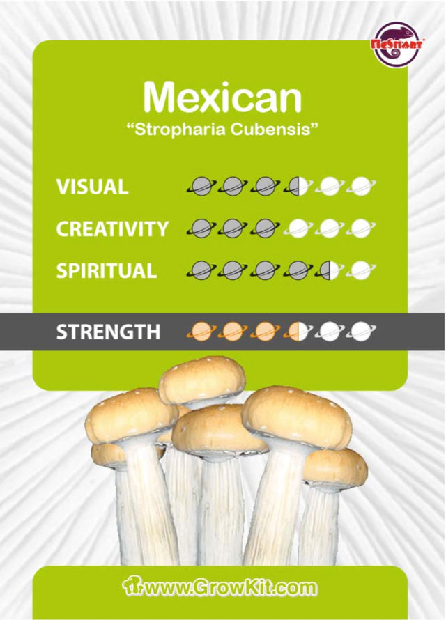 Mexican Mushroom Growkit