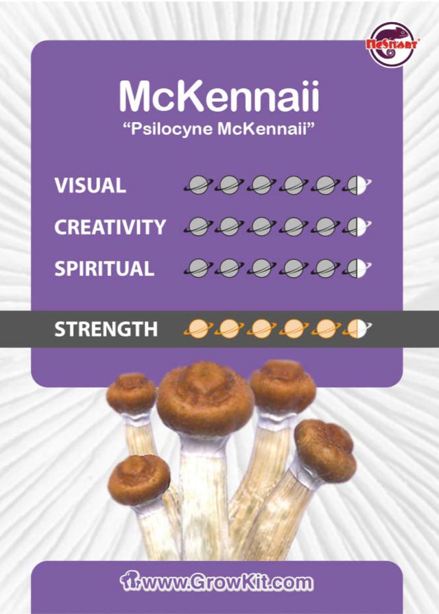 McKennaii Mushroom Growkit