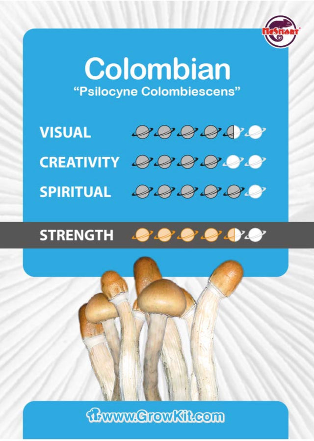 Colombian Mushroom XL Growkit 1200cc