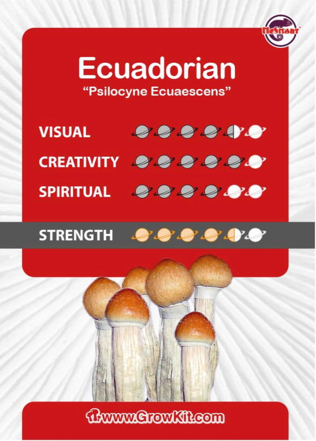 Ecuadorian Mushroom Growkit