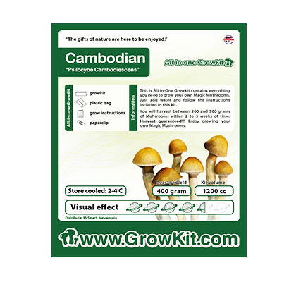 Cambodian Mushroom Growkit