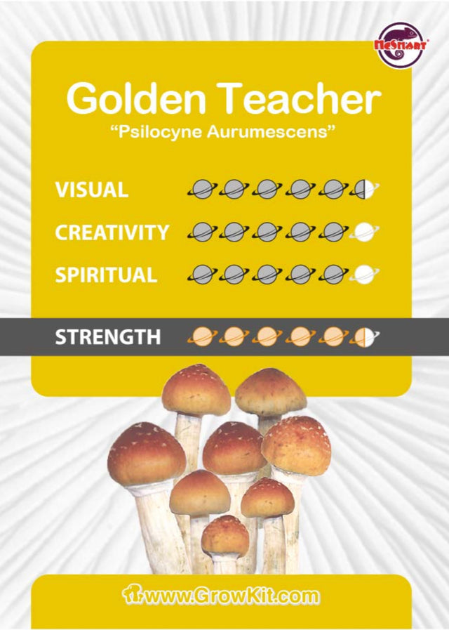 Golden Teacher Mushroom Growkit