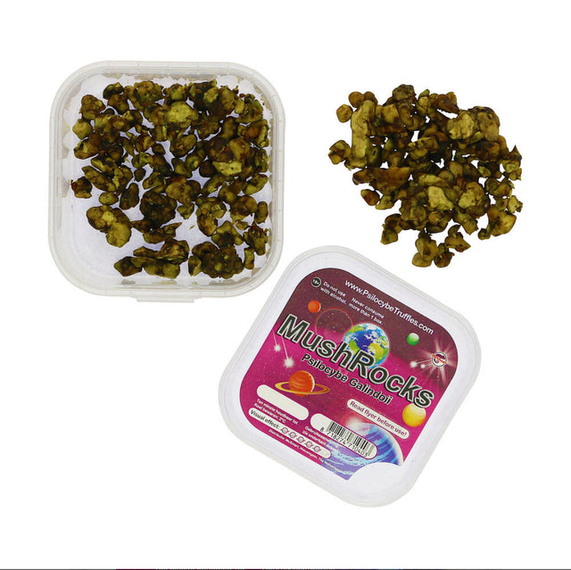MushRocks - Magic Mushroom Truffels 15 gram