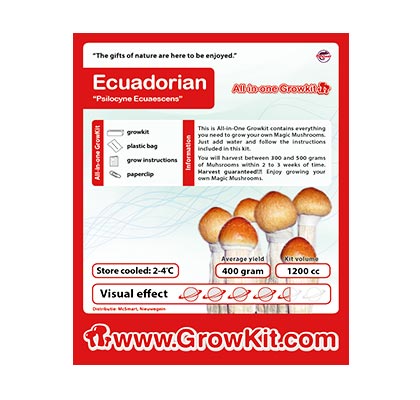 Ecuadorian Mushroom Growkit