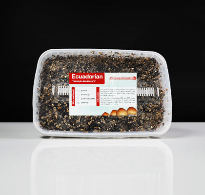 Ecuadorian Mushroom Growkit