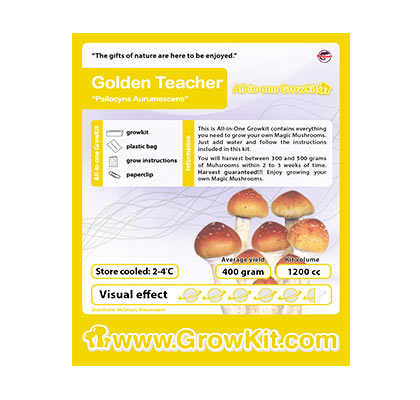 Golden Teacher Mushroom Growkit
