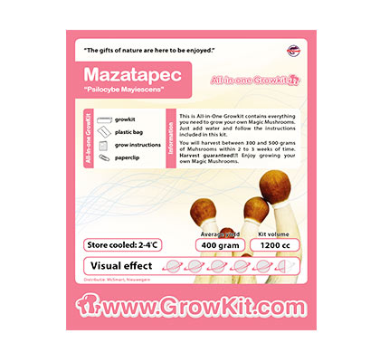 Mazatapec Mushroom Growkit