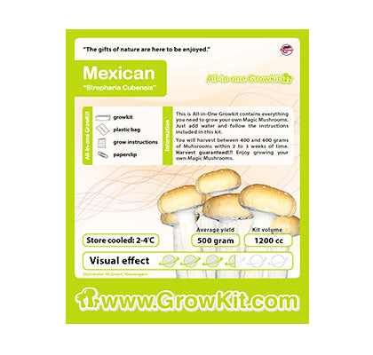 Mexican Mushroom Growkit