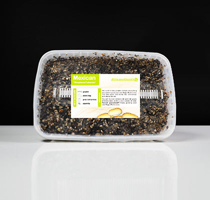 Mexican Mushroom Growkit
