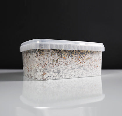 Golden Teacher Mushroom Growkit