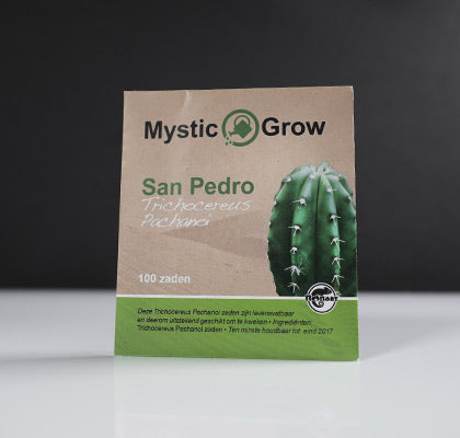 San Pedro Pachanoi Seeds