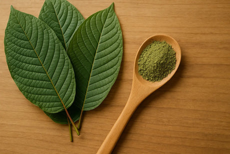 Rood vs Groen Kratom: Welke Strain Past Bij Jou?