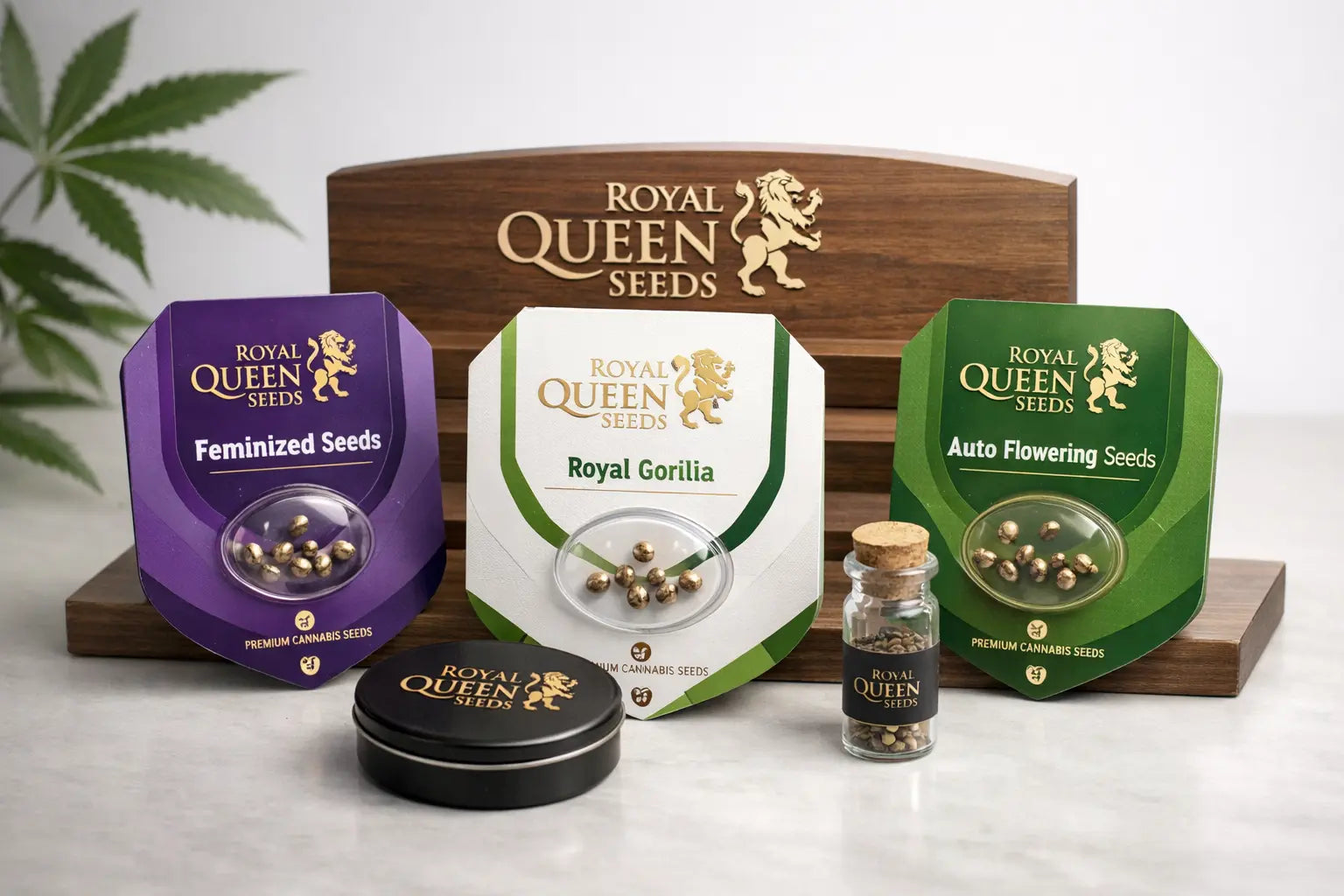 Royal Queen Seeds cannabisfrøpakke med forskellige typer frø på en lys baggrund