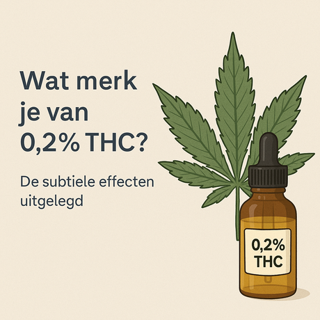 Wat merk je van 0,2% THC? De subtiele effecten uitgelegd