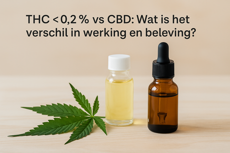 THC 0,2% vs CBD: Wat is het verschil in werking en beleving?