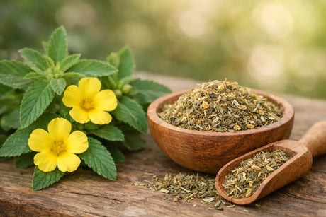 Damiana (Turnera diffusa): werking en gebruik