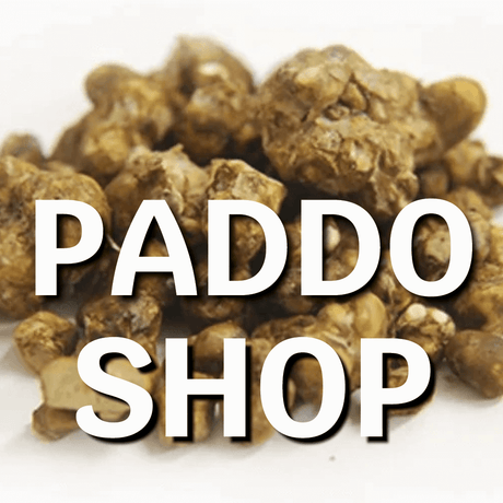 paddo shop