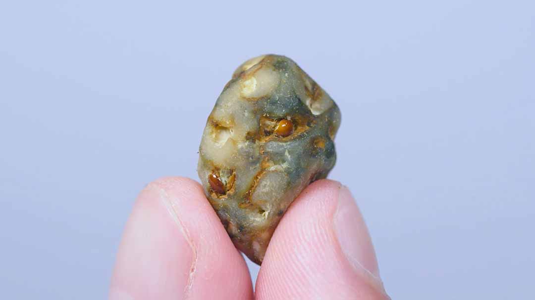 Atlantis Magic Mushroom Truffles - 15 grams