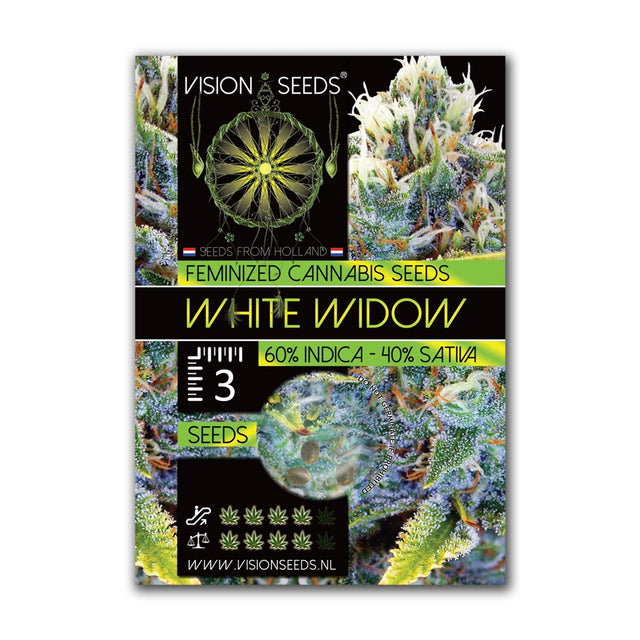 White Widow Fem - Vision Seeds