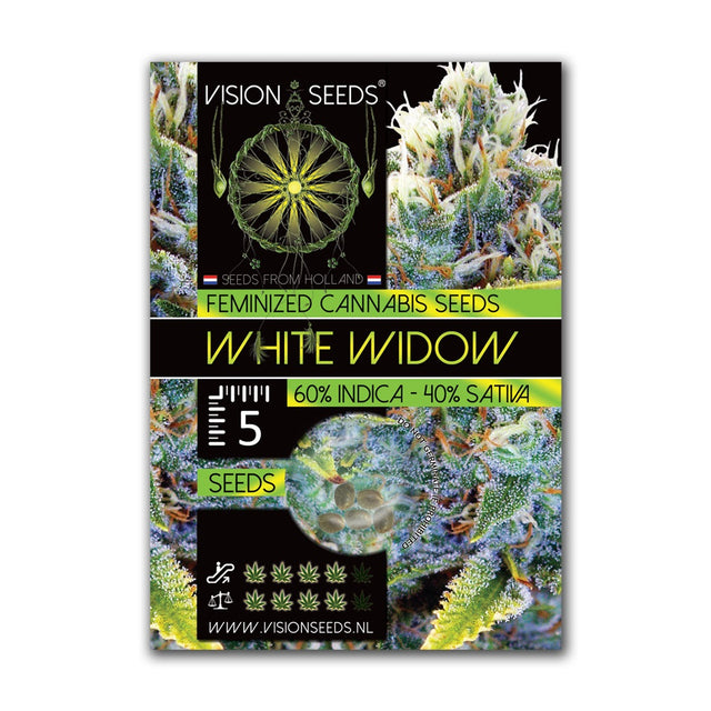 White Widow Fem - Vision Seeds