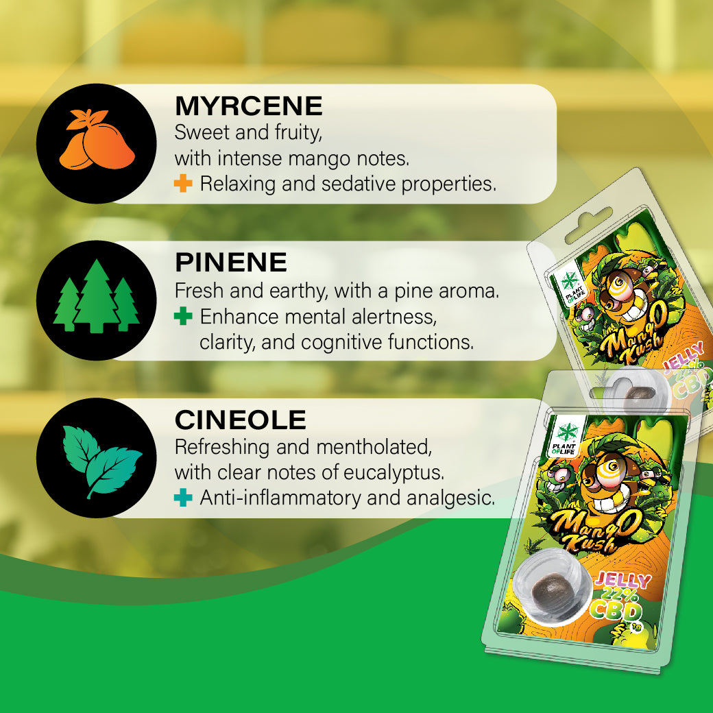 Plant of Life | CBD Jelly 22% Mango Kush