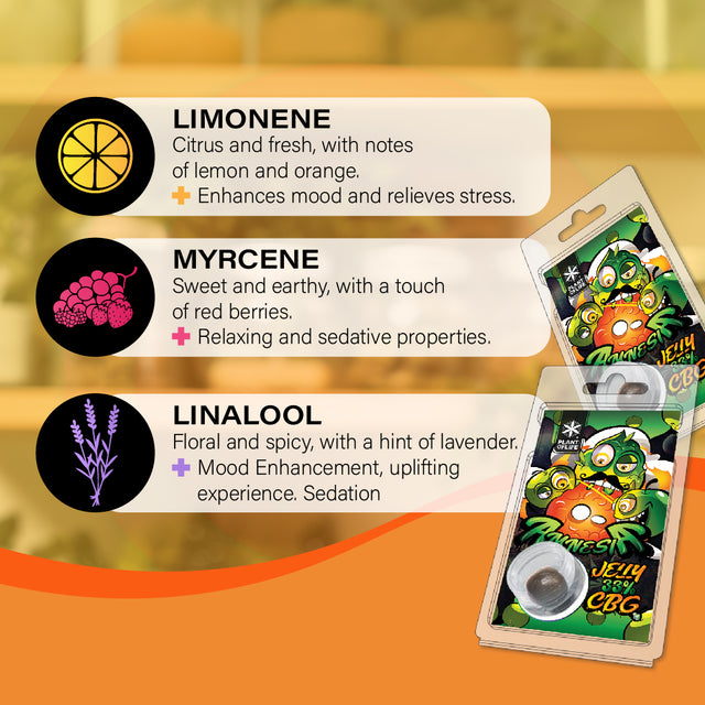 Plant of Life | Jelly 33% CBG Amnesia 1g