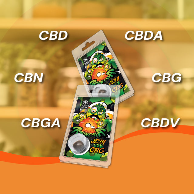 Plant of Life | Jelly 33% CBG Amnesia 1g