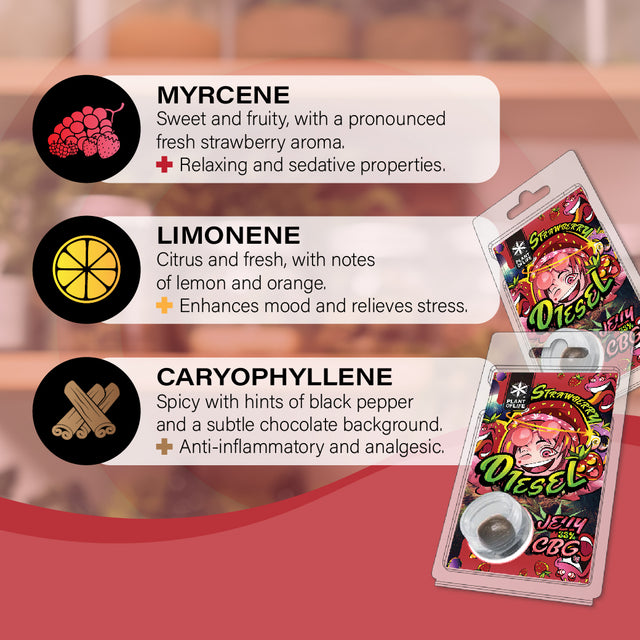 Plant of Life | Jelly 33% CBG Strawberry Diesel 1g