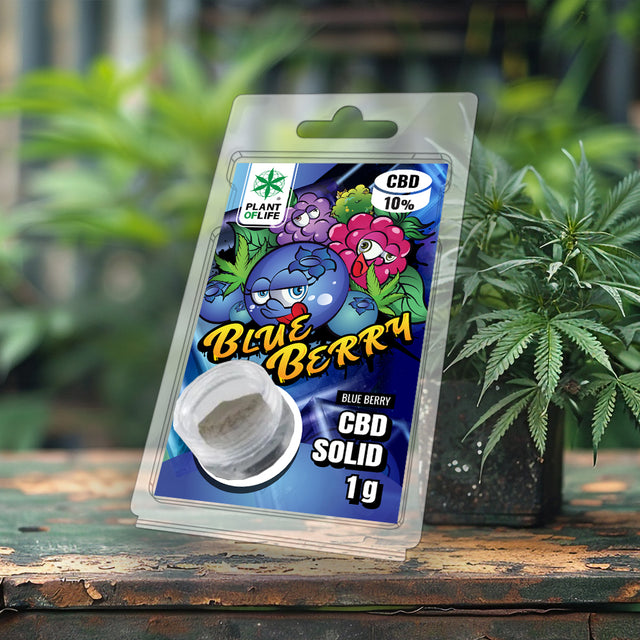 Plant of Life | CBD SOLID 10% Blueberry 1g