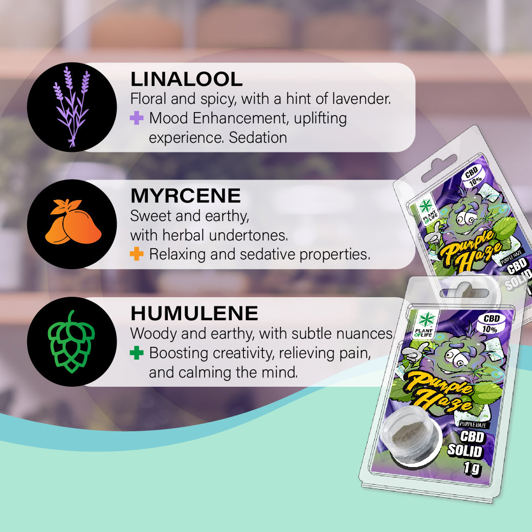 Растение на живота | CBD SOLID 10% Purple Haze 1g
