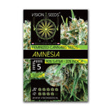 Amnesia Fem - Vision Seeds