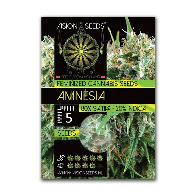 Amnesia Fem - Vision Seeds