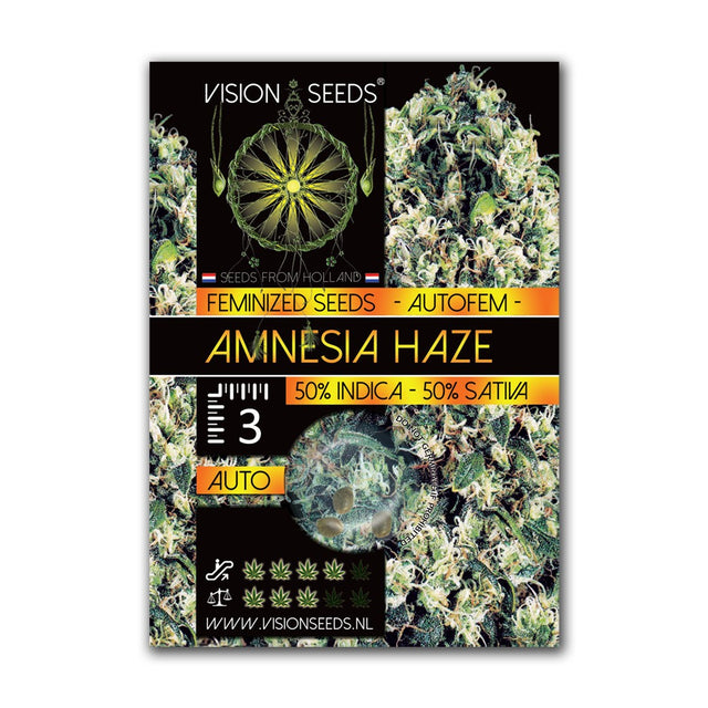 Amnesia Haze AutoFem - Vision Seeds