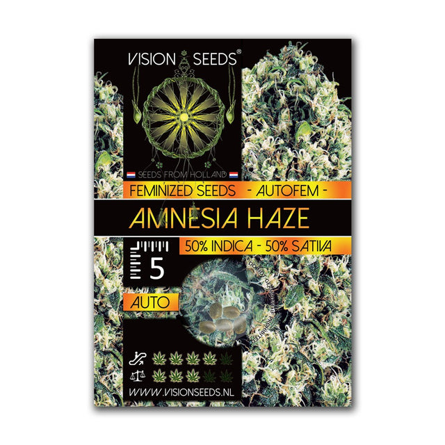 Amnesia Haze AutoFem - Vision Seeds