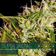 super skunk-vision-seeds