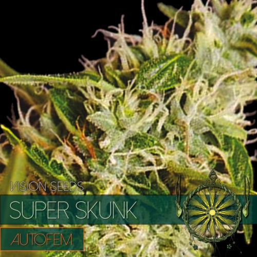 semillas de super skunk-vision