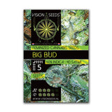 Big Bud Fem - Vision Seeds