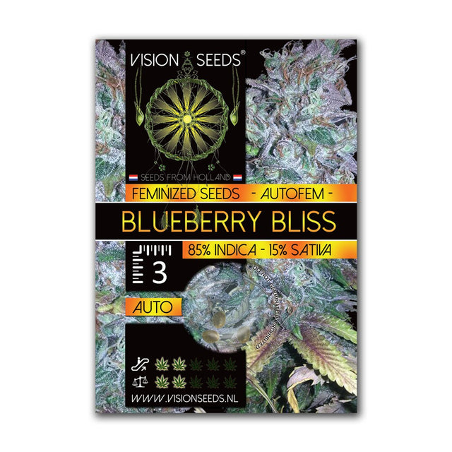 Blueberry Bliss AutoFem - 3+1 | 5+2 ACTIE