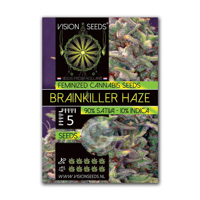 Brainkiller Haze Fem - Vision Seeds