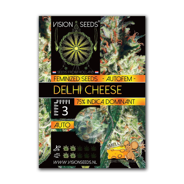 Delhi Cheese AutoFem - 3+1 | 5+2 TILBUD